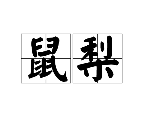 鼠梨 鼠梨