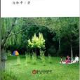白林中詩詞 白林中詩詞