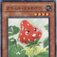 自然草莓 自然草莓