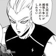閃電麥克斯