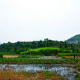 百嶺崗 百嶺崗