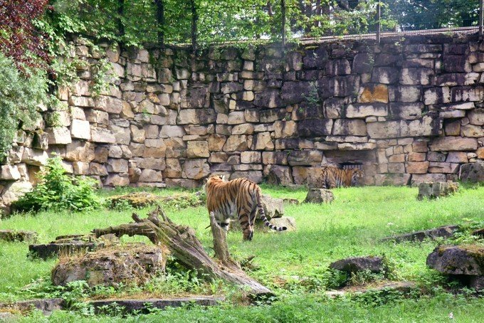 卡爾加里動物園