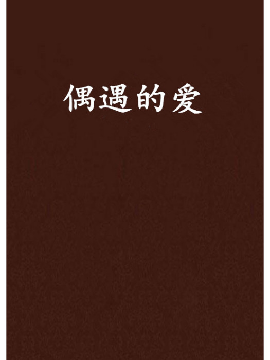 偶遇的愛 偶遇的愛