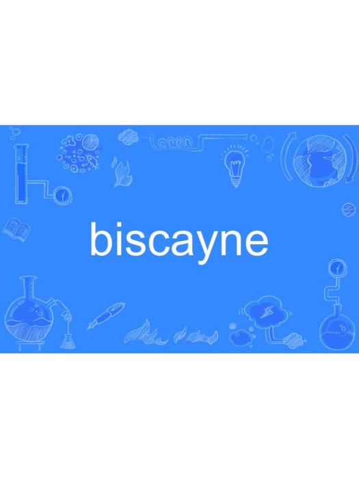 biscayne biscayne
