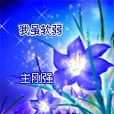 老我 老我