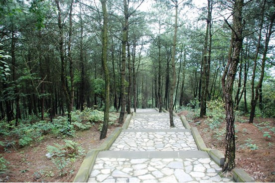 玉峰山森林公園