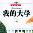 我的大學(高爾基創作長篇小說)