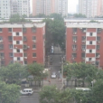 蒲安東里 蒲安東里
