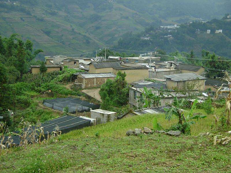 下折東村 下折東村