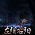 左陰右陽 左陰右陽