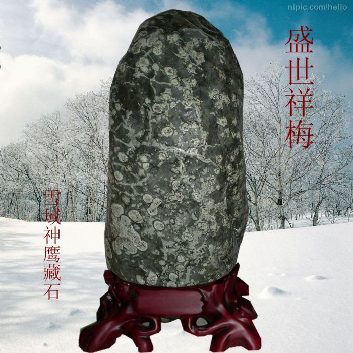 馬元虎 馬元虎