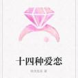 十四種愛戀 十四種愛戀