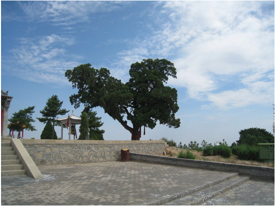 高寒嶺 高寒嶺