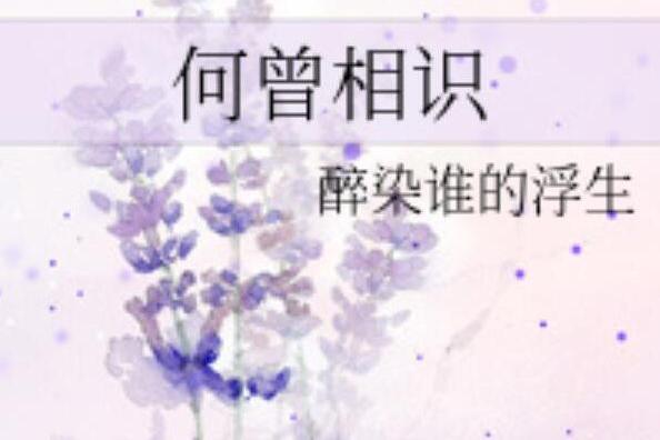 何曾相識 何曾相識