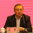 岳平(海南省生態環境保護廳原副廳長) 岳平(海南省生態環境保護廳原副廳長)