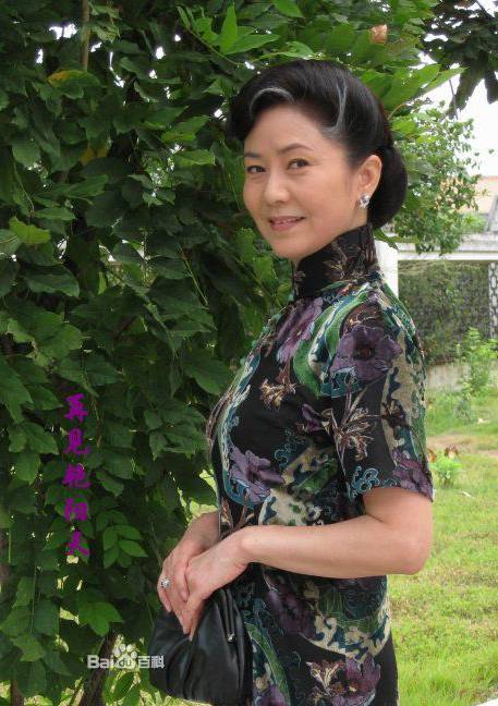天倫劫(2008年呂麗萍、李易祥主演電視劇)