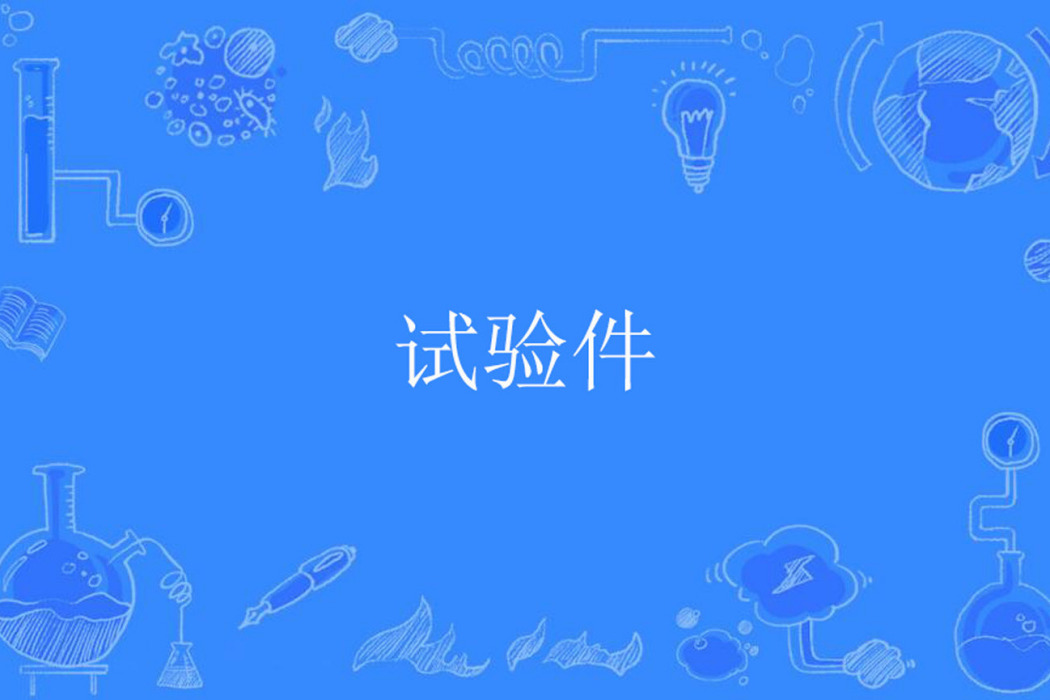 試驗件 試驗件