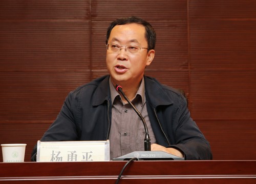 楊勇平(華北電力大學校長)