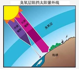 臭氧層讓地球上的生物免遭短波紫外線的傷害
