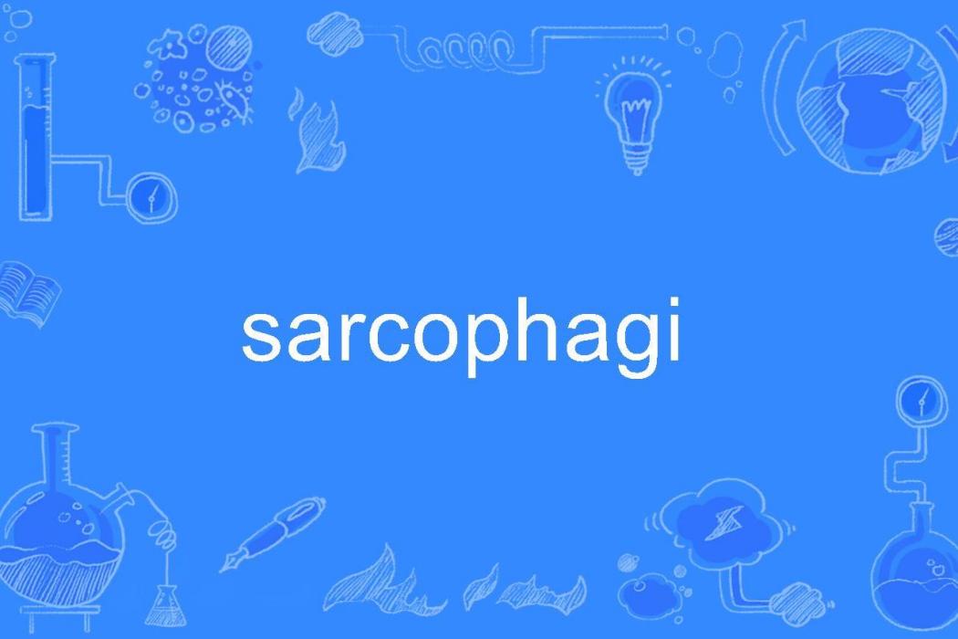 sarcophagi sarcophagi