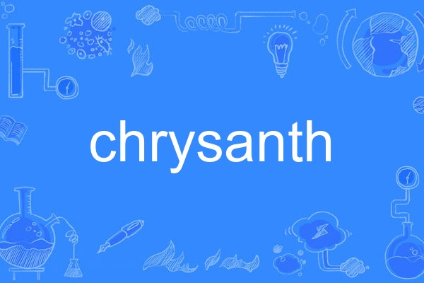 chrysanth chrysanth