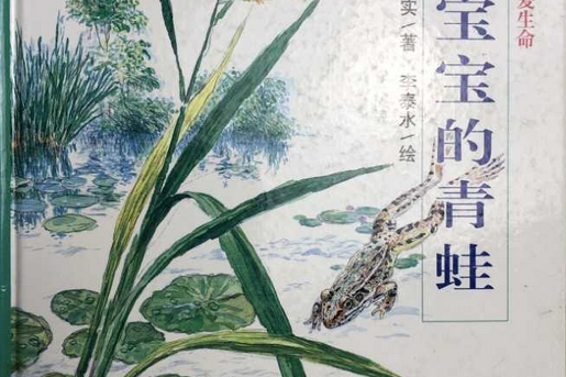 產寶寶的青蛙 產寶寶的青蛙