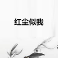 紅塵似我 紅塵似我