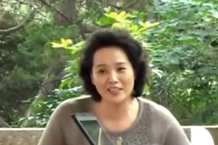 張茵(都市情感劇電視劇《門·第》中的角色) 張茵(都市情感劇電視劇《門·第》中的角色)
