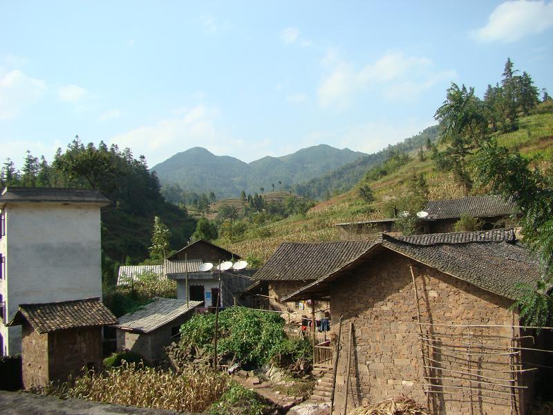 羅坭村