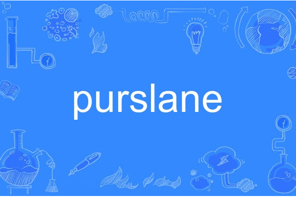 purslane purslane