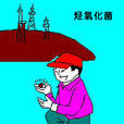 烴氧化菌 烴氧化菌