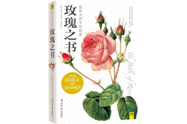 玫瑰之書 玫瑰之書
