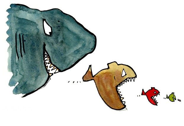 快魚吃慢魚(快魚法則) 快魚吃慢魚(快魚法則)