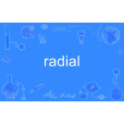 radial(英語單詞) radial(英語單詞)