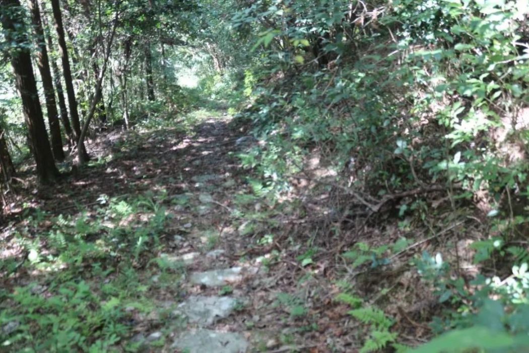 半嶺古道(浙江省溫州市永嘉縣境內的省一級古道) 半嶺古道(浙江省溫州市永嘉縣境內的省一級古道)