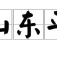 山東平 山東平