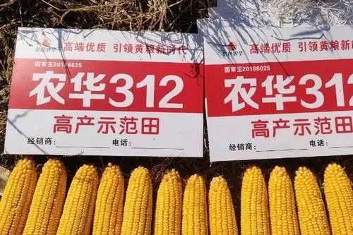 農華312