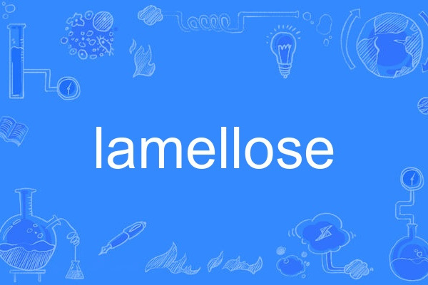 lamellose lamellose