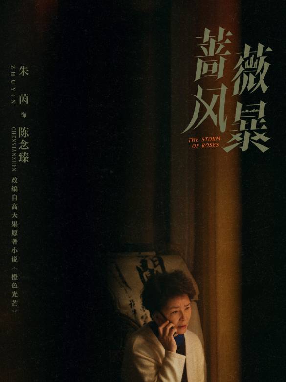 薔薇風暴(2024年惠楷棟執導的職場劇)