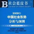 2009年中國社會形勢分析與預測