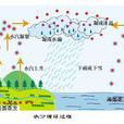 乾空氣密度 乾空氣密度