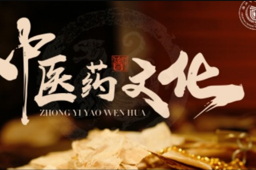 中醫藥文化(浙江中醫藥大學建設的慕課) 中醫藥文化(浙江中醫藥大學建設的慕課)