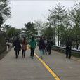 科登山村 科登山村