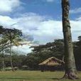 基里瓜考古公園和瑪雅文化遺址