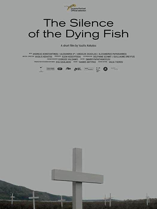 死魚的寂靜 死魚的寂靜
