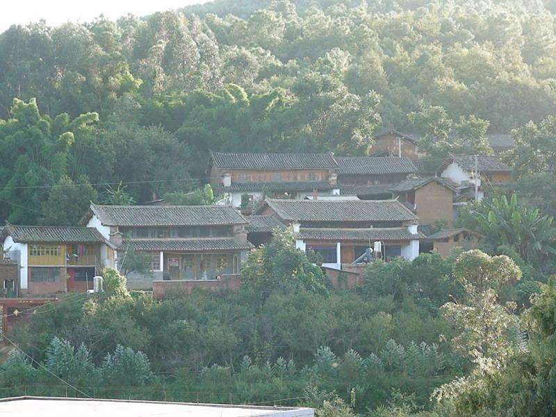 蕨菜沖村 蕨菜沖村