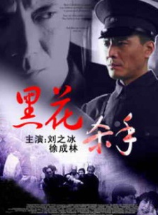 徐成林(瀋陽籍演員)