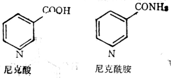 水溶性維生素B5(尼克醯胺)化學結構式