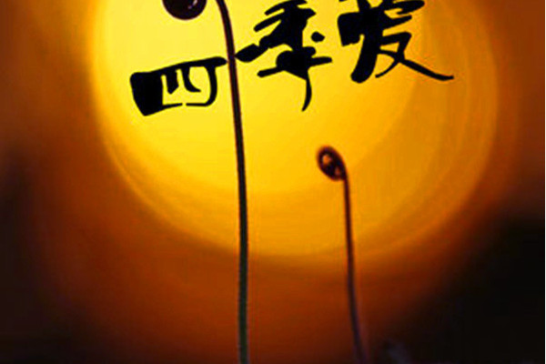 不願意分離 不願意分離