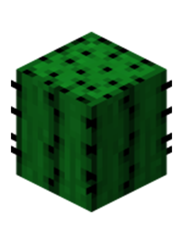 仙人掌(遊戲《Minecraft》中的一種植物方塊)